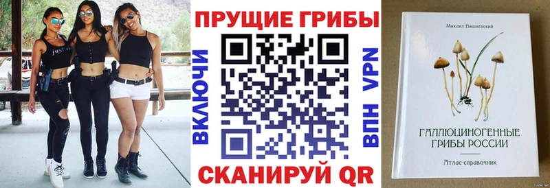 Галлюциногенные грибы ЛСД  где продают   Копейск 
